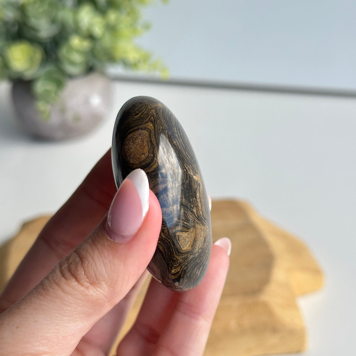 Stromatolite Palmstone 98g