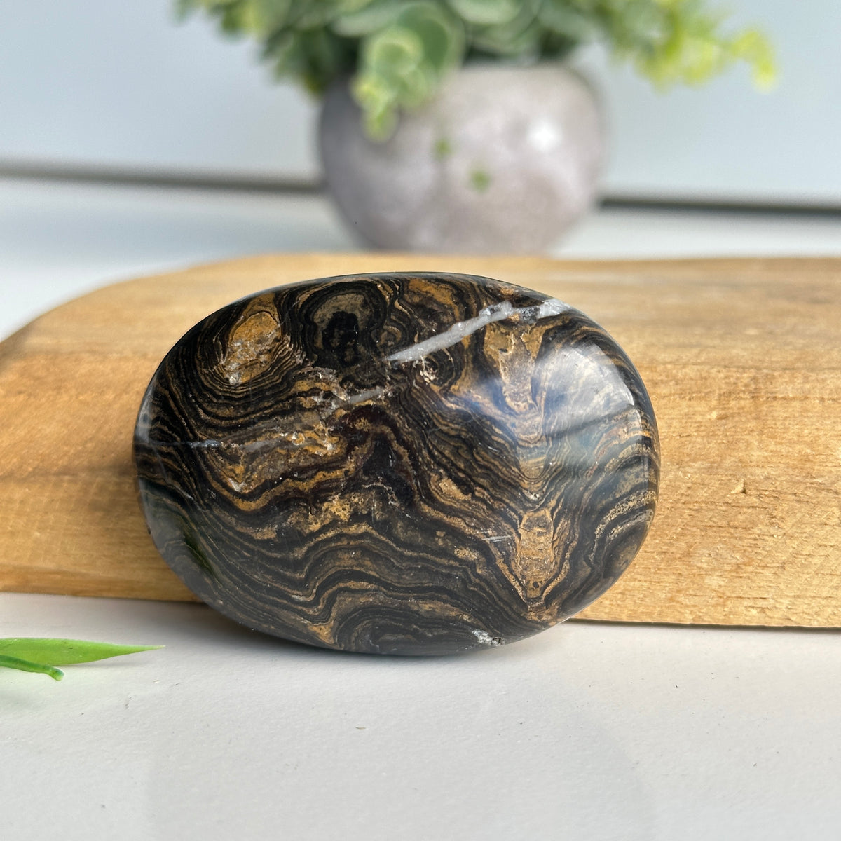 Stromatolite Palmstone 100g