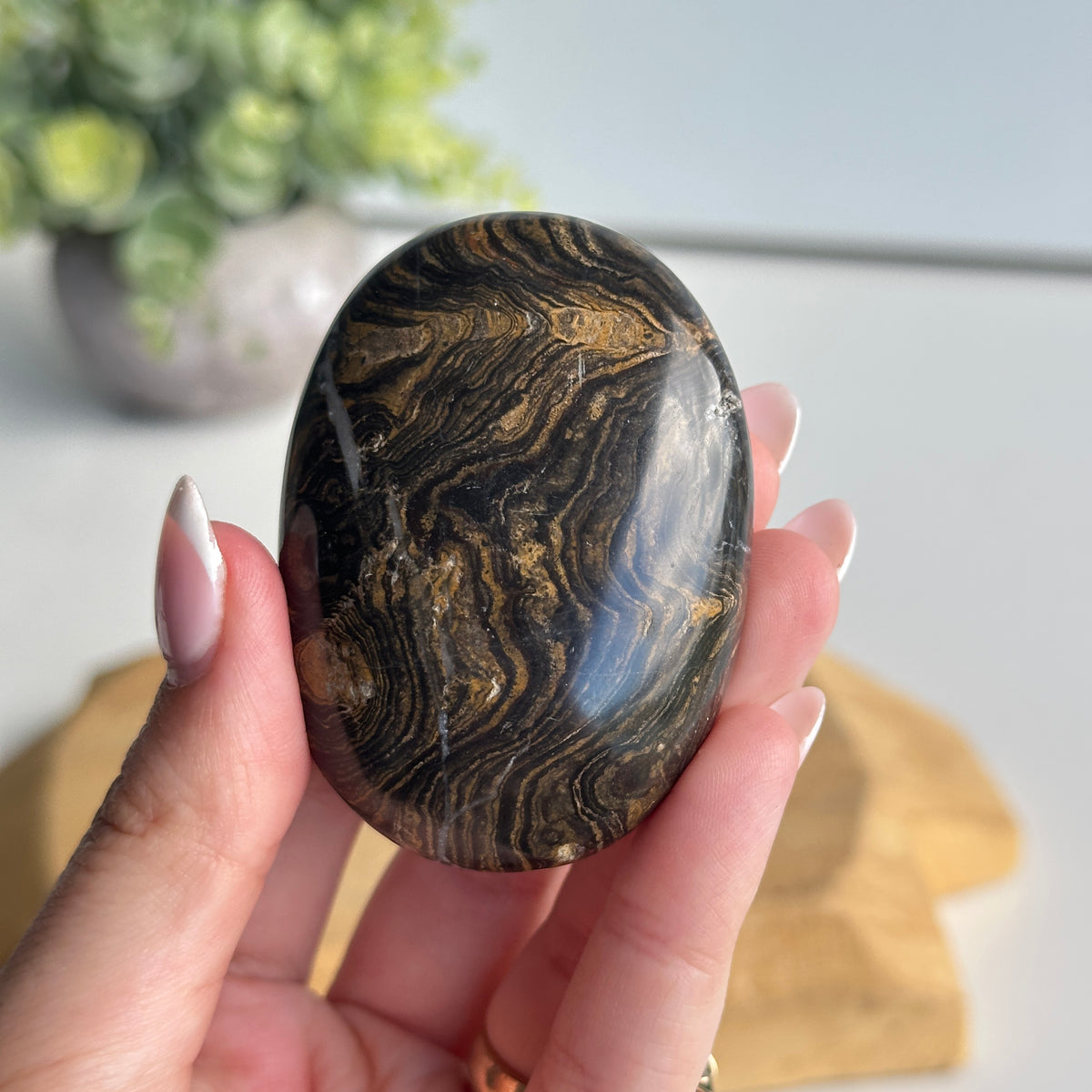 Stromatolite Palmstone 100g
