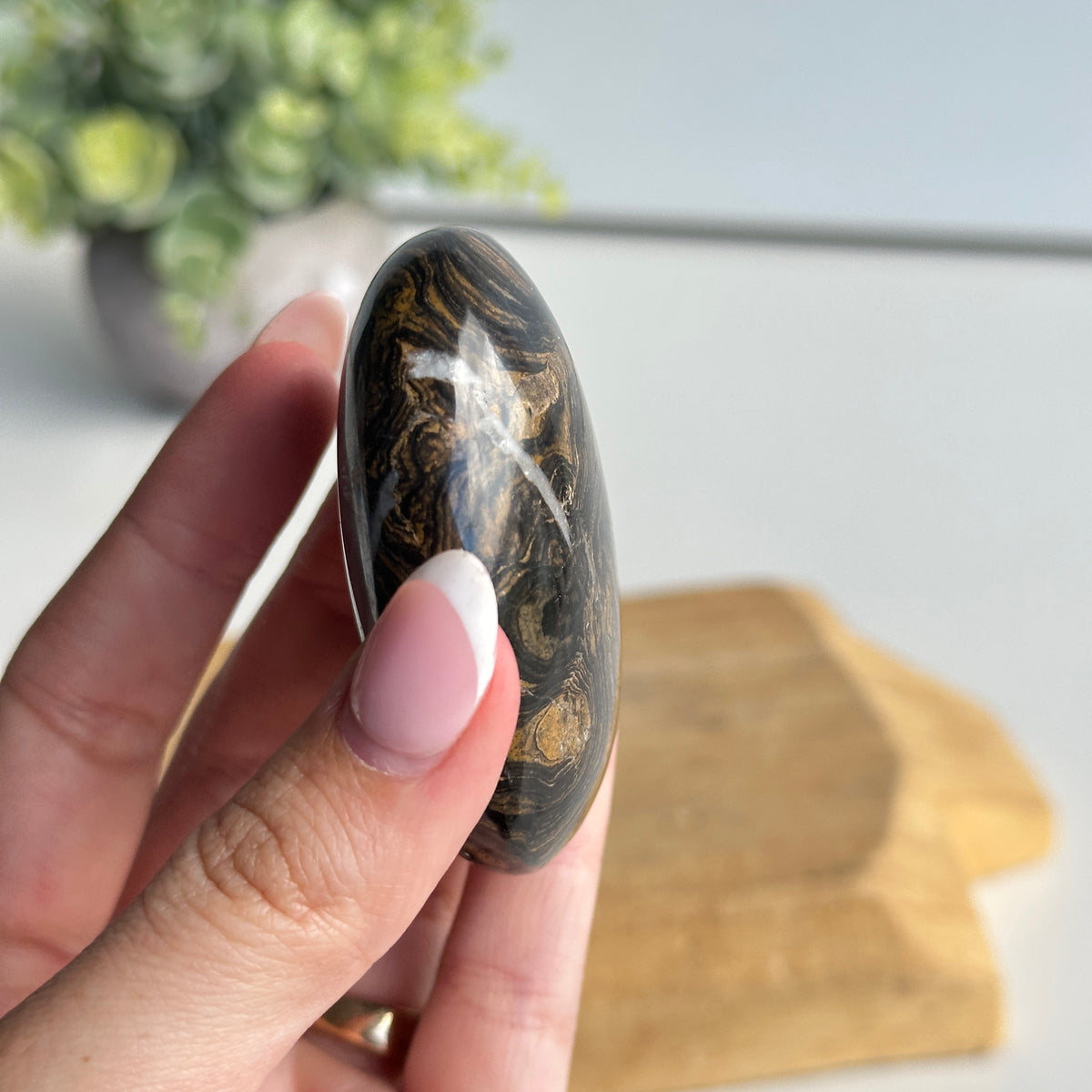 Stromatolite Palmstone 100g