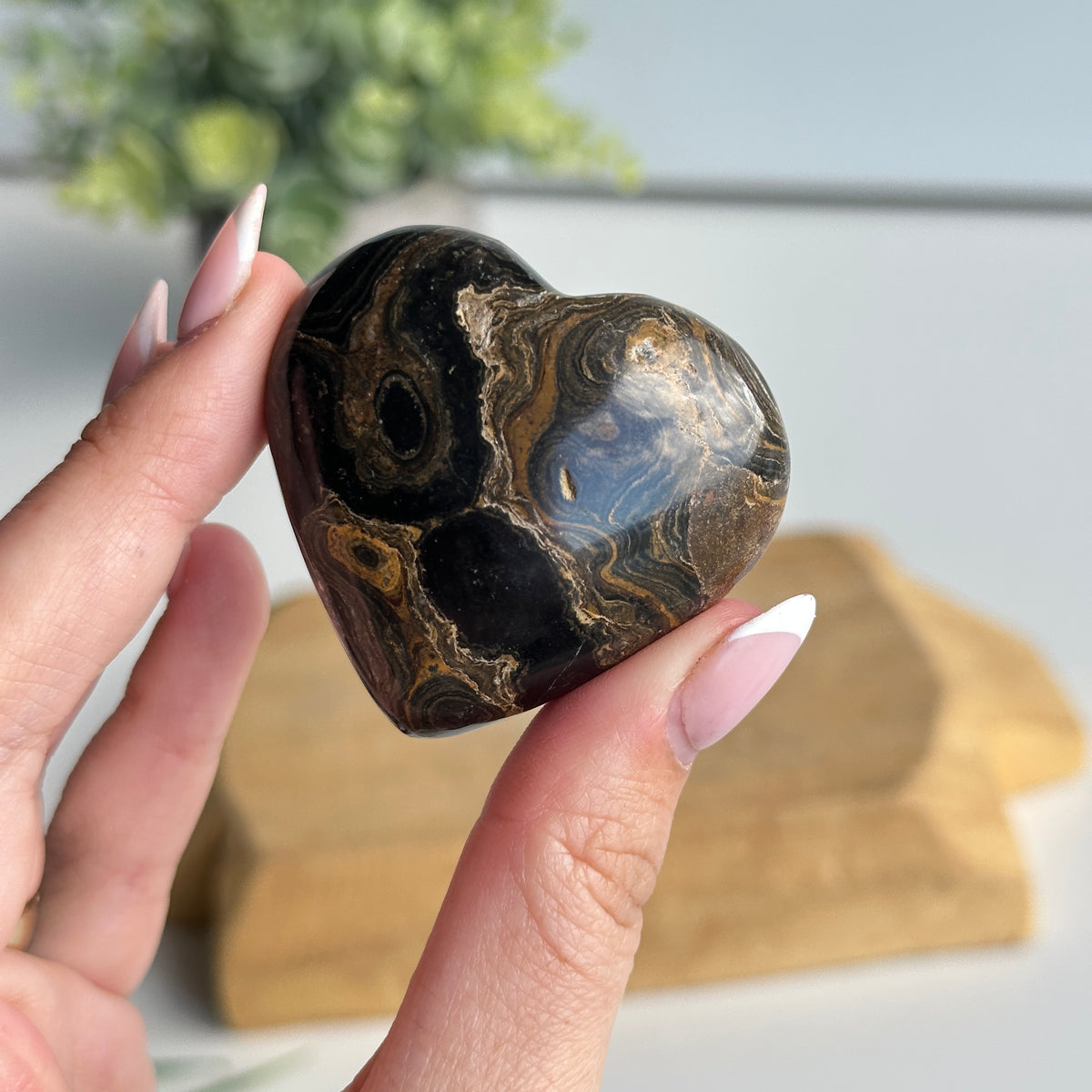 Stromatolite Heart 4.8cm