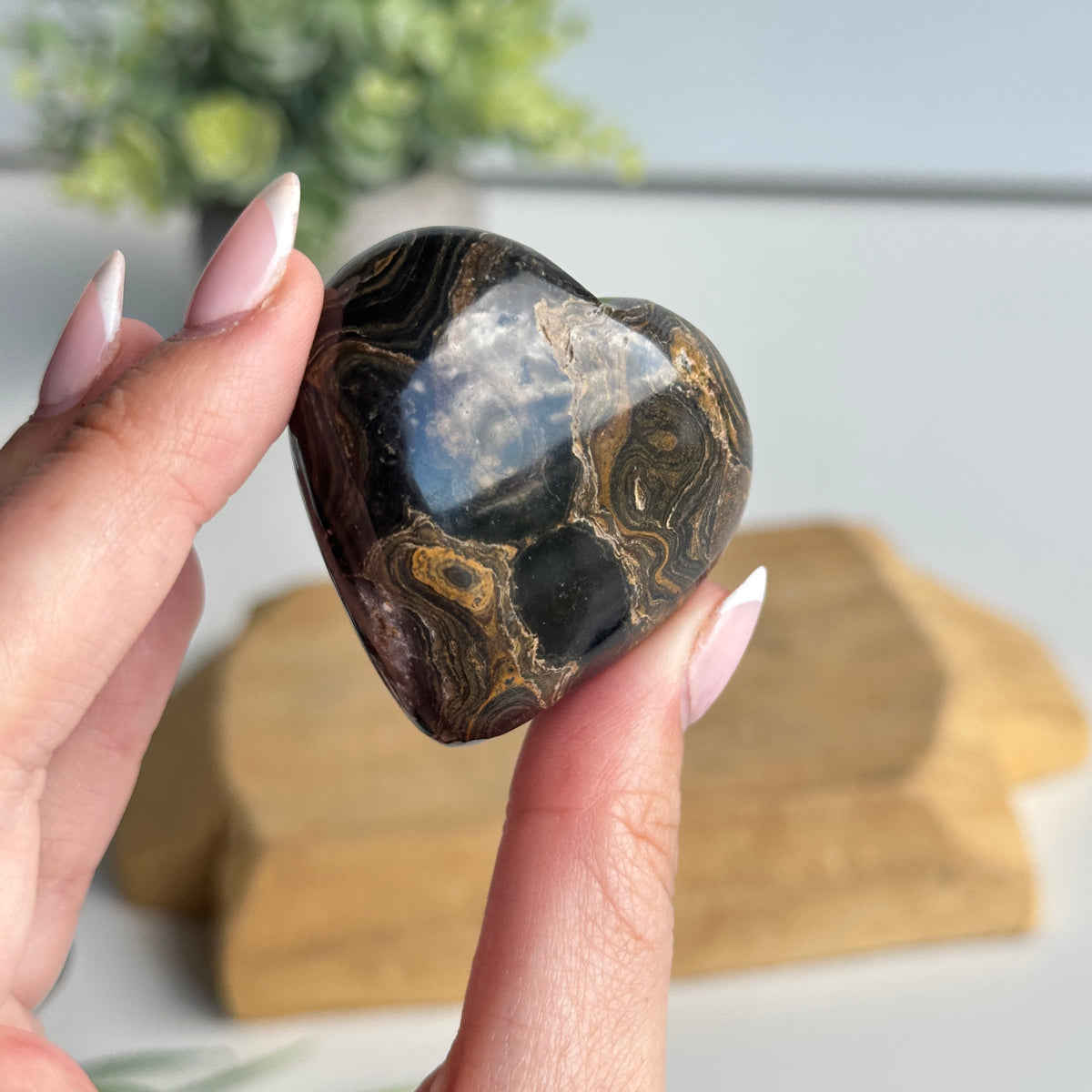 Stromatolite Heart 4.8cm