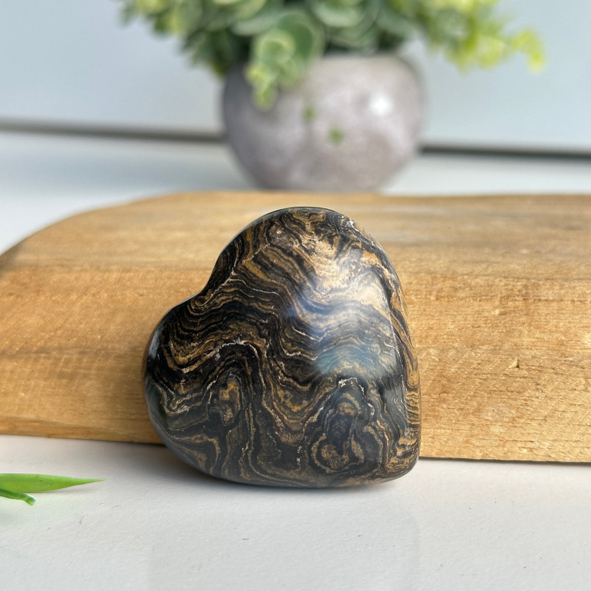 Stromatolite Heart 4.8cm