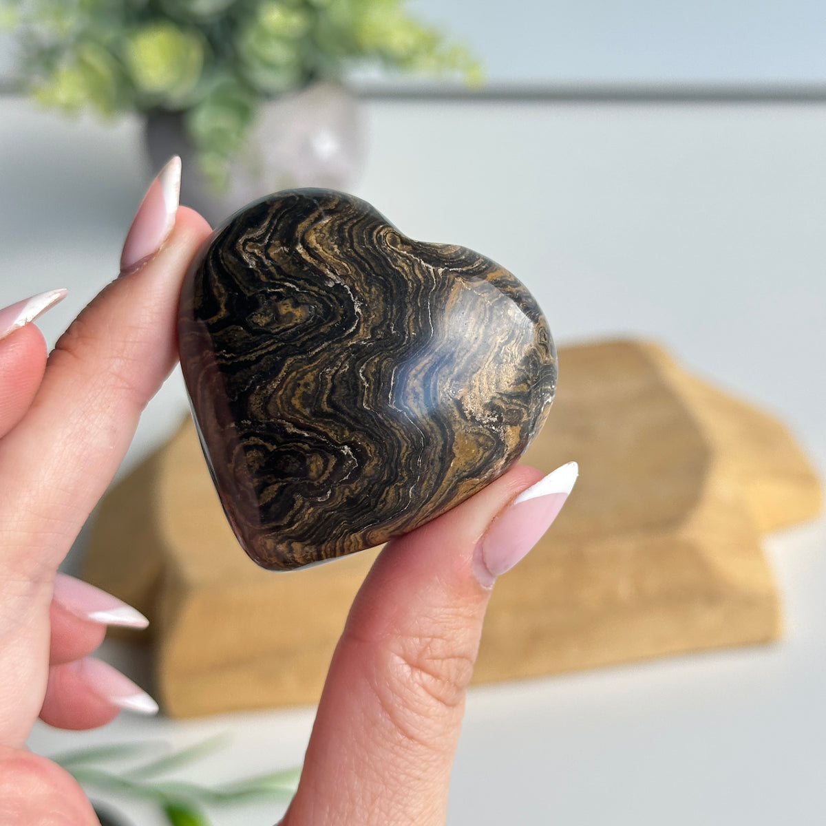 Stromatolite Heart 4.8cm