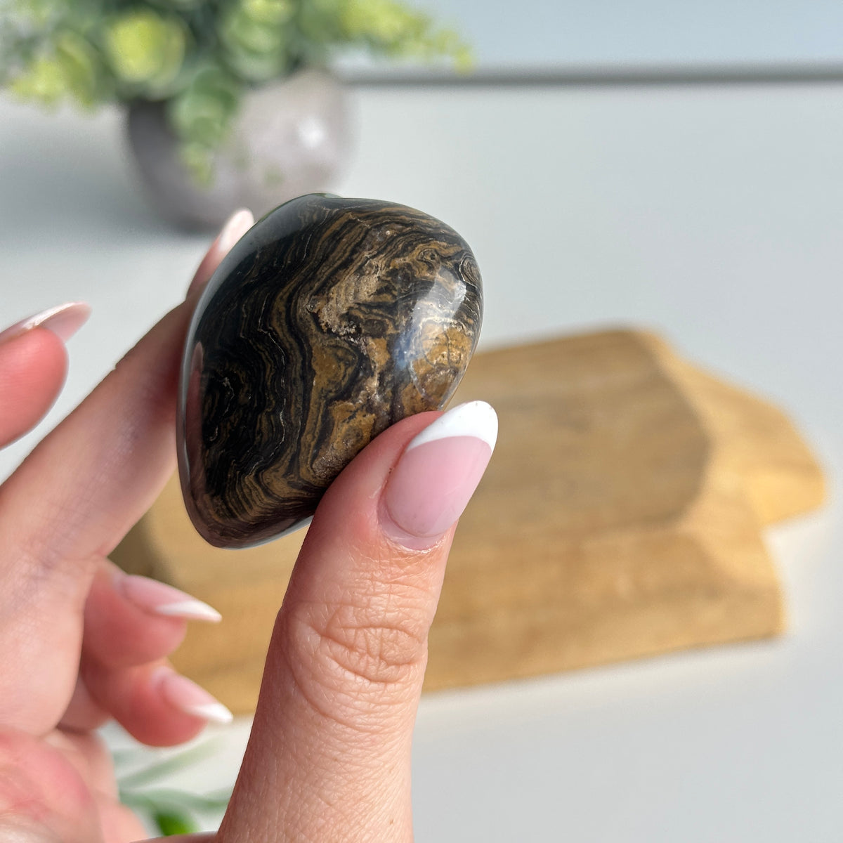 Stromatolite Heart 4.8cm