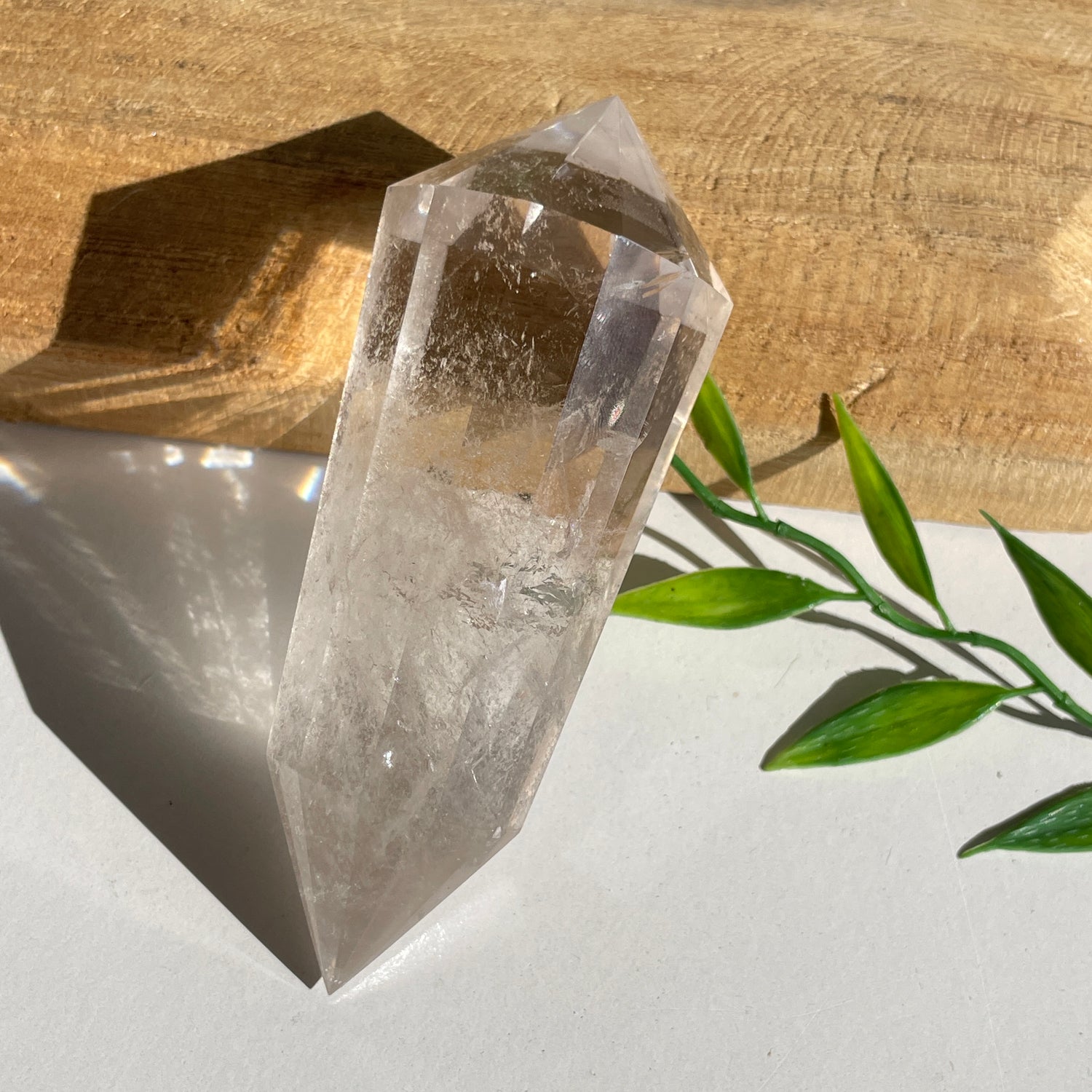 Clear Quartz Vogel 9.8cm