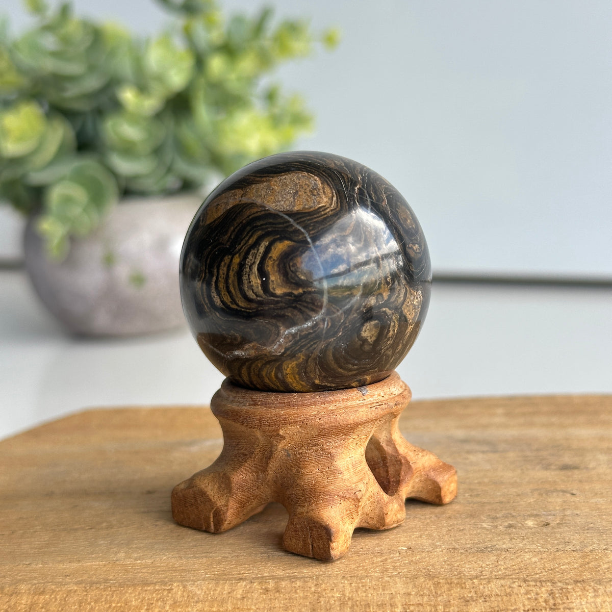 Stromatolite Sphere 4.2cm