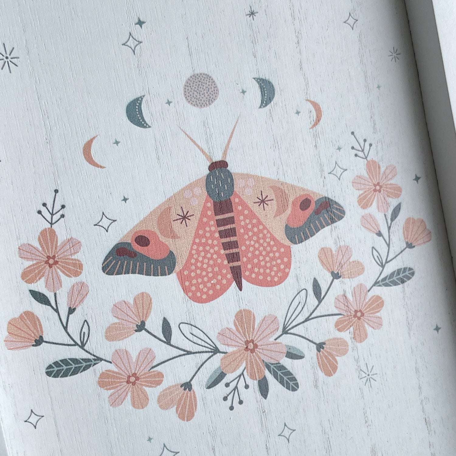 Butterfly Wall Art  SG21072