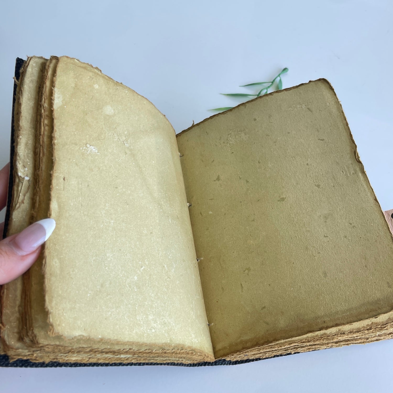 Owl Leather Journal