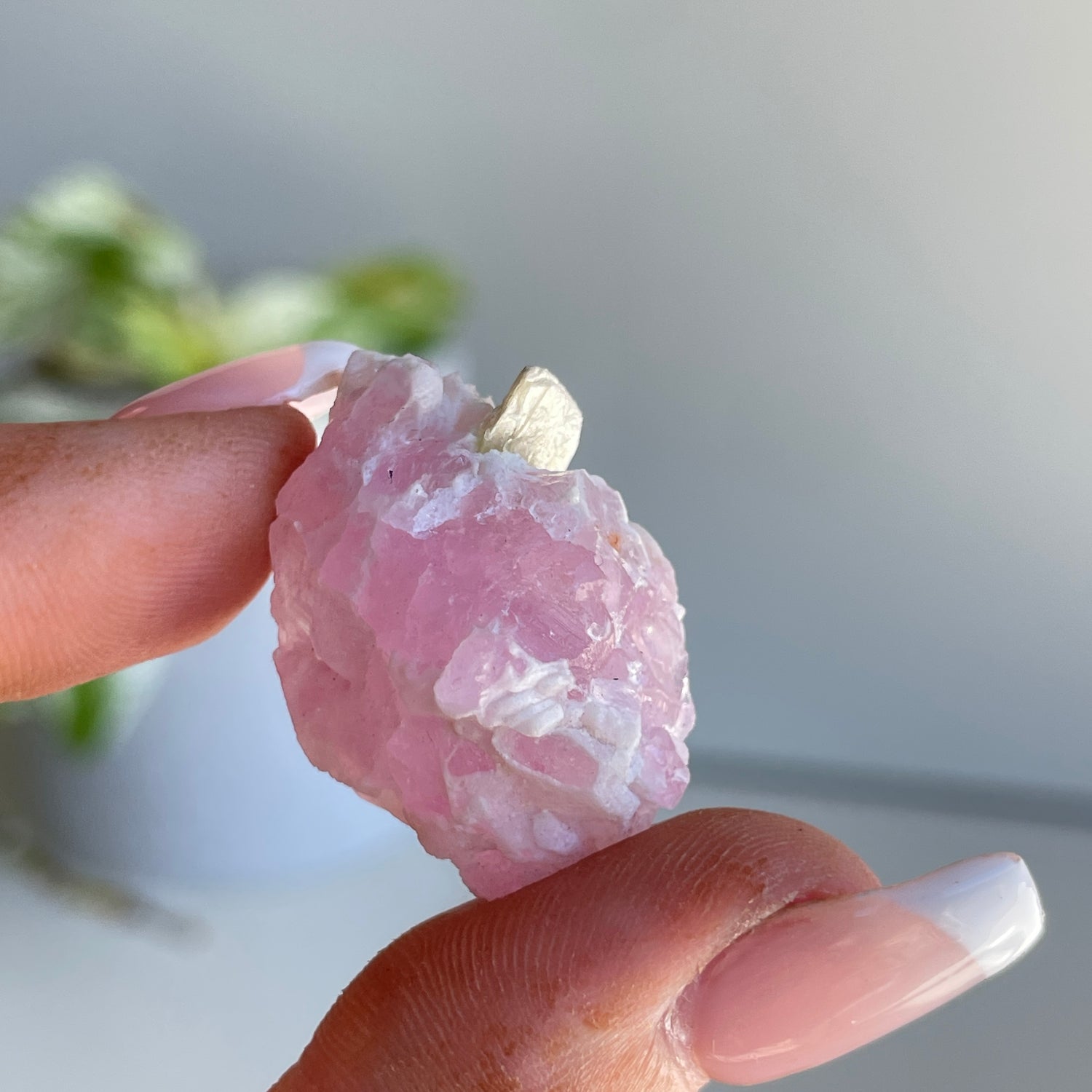 Rose Quartz Cluster 10g