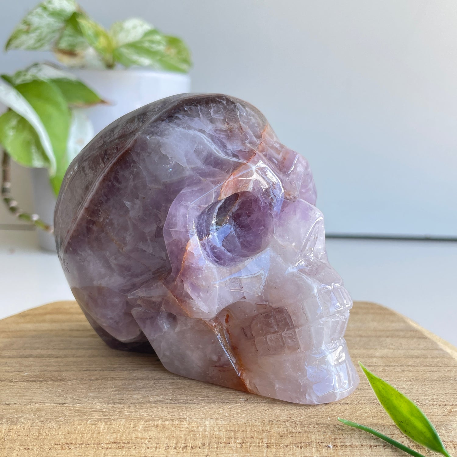 Amethyst Agate Skull 10.3cm