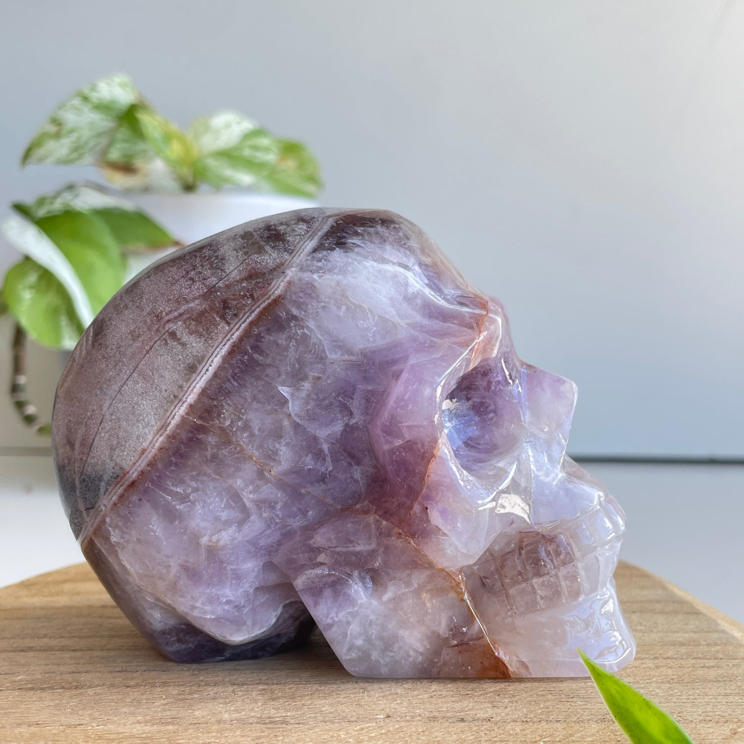 Amethyst Agate Skull 10.3cm
