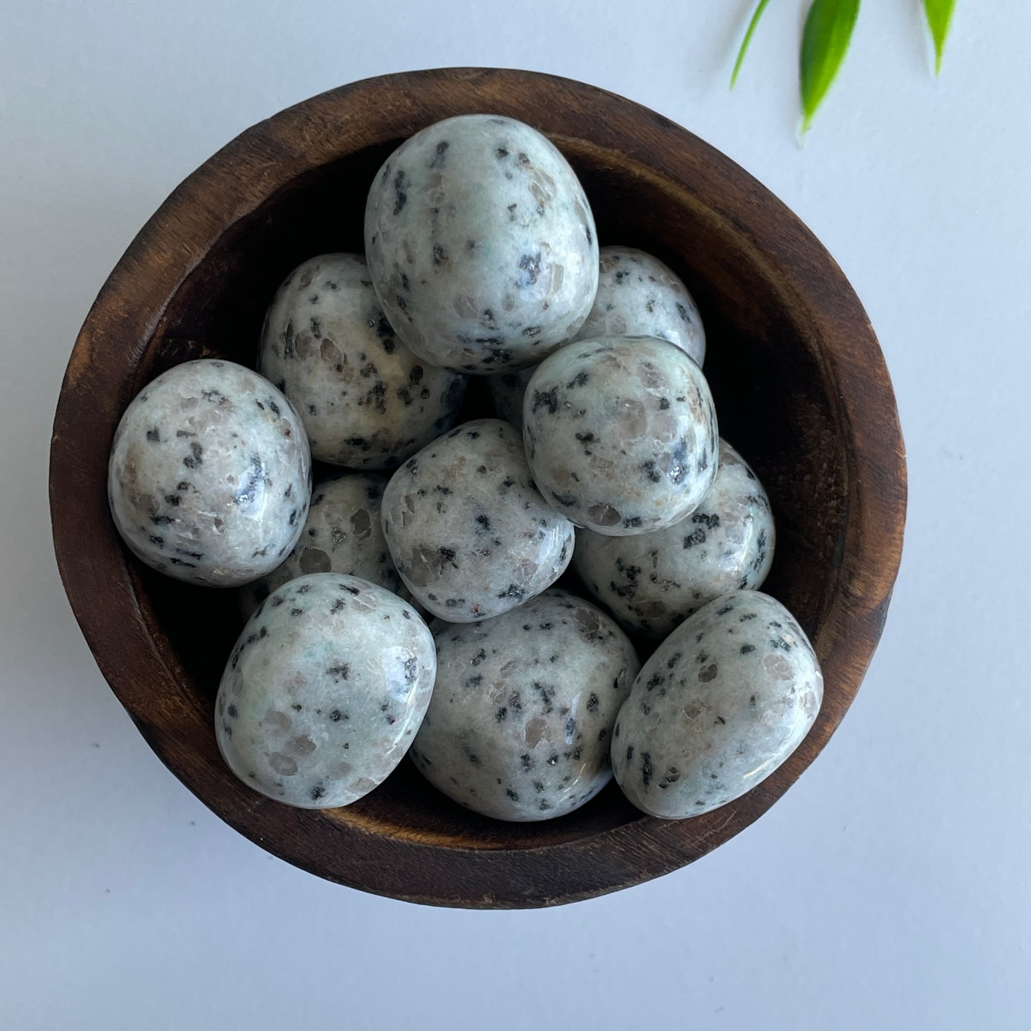 Kiwi Jasper Tumbled
