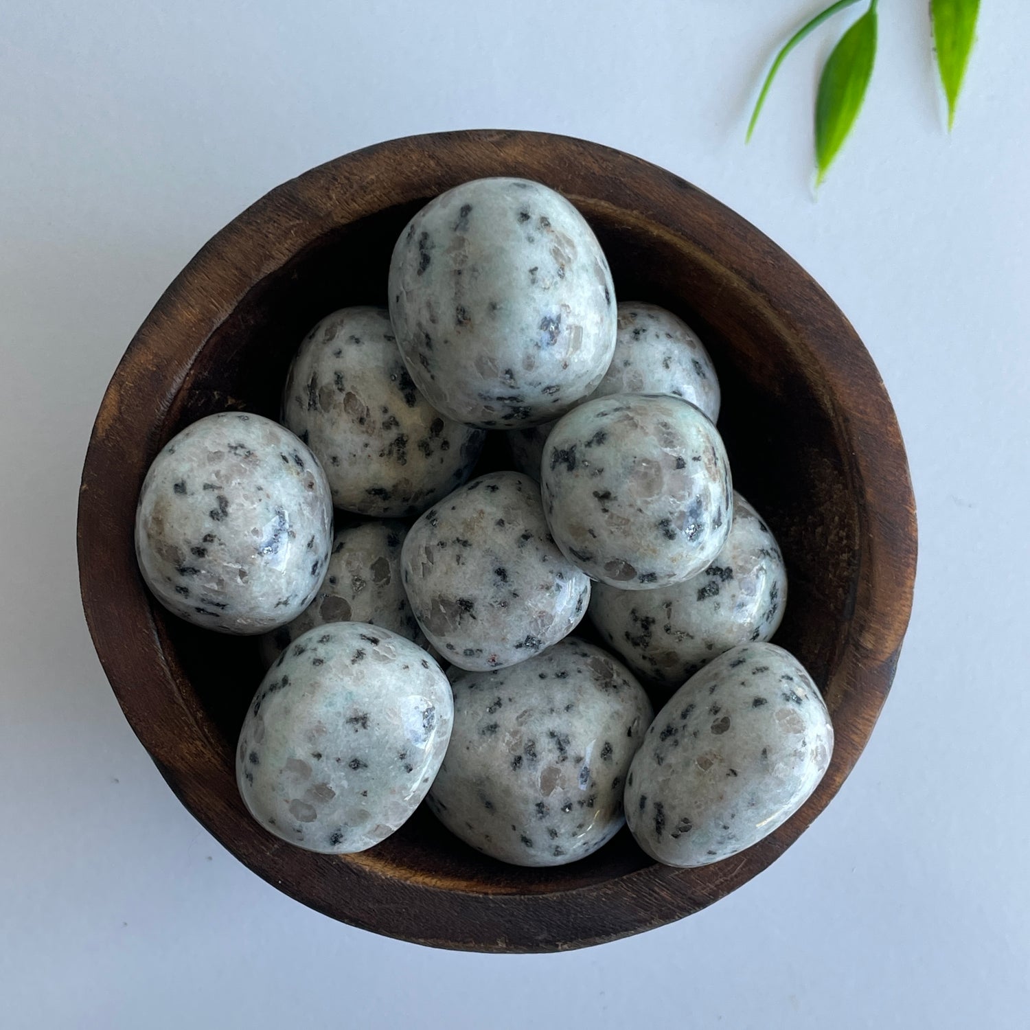 Kiwi Jasper Tumbled