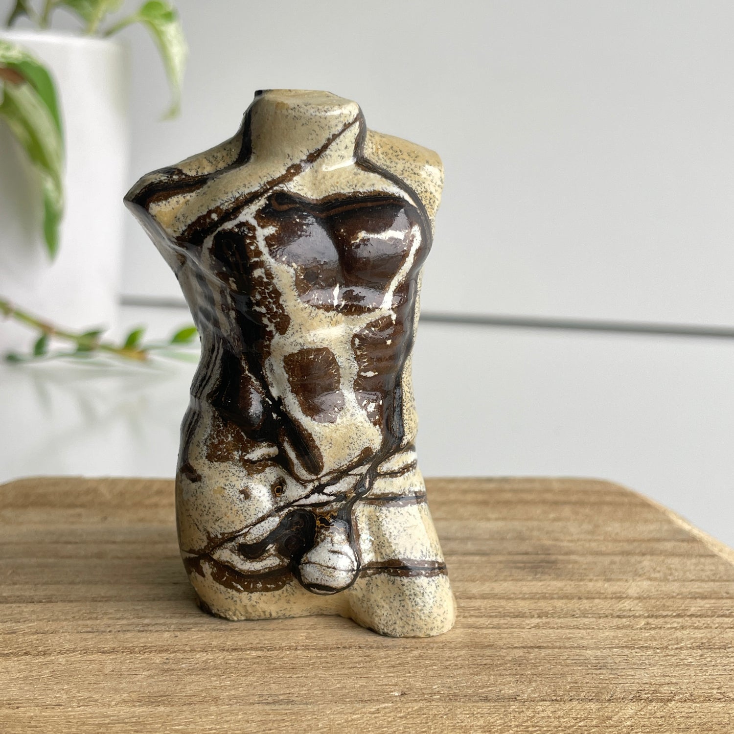 Picture Jasper Male Body 2