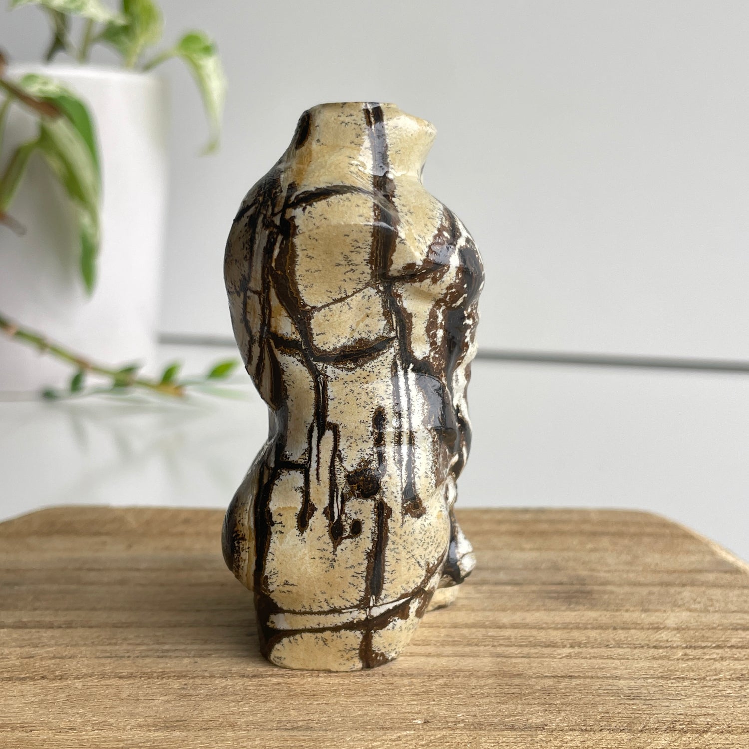 Picture Jasper Male Body 2