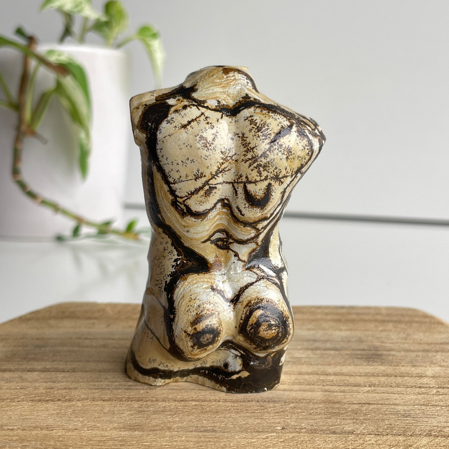 Picture Jasper Male Body 2
