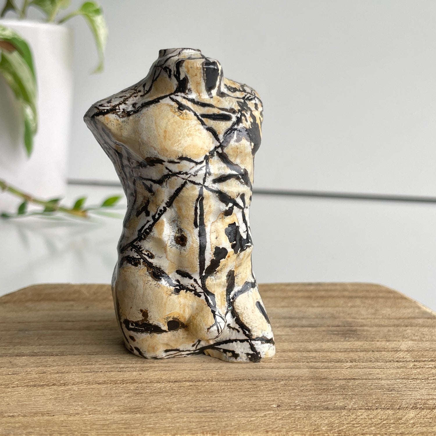 Picture Jasper Male Body 1