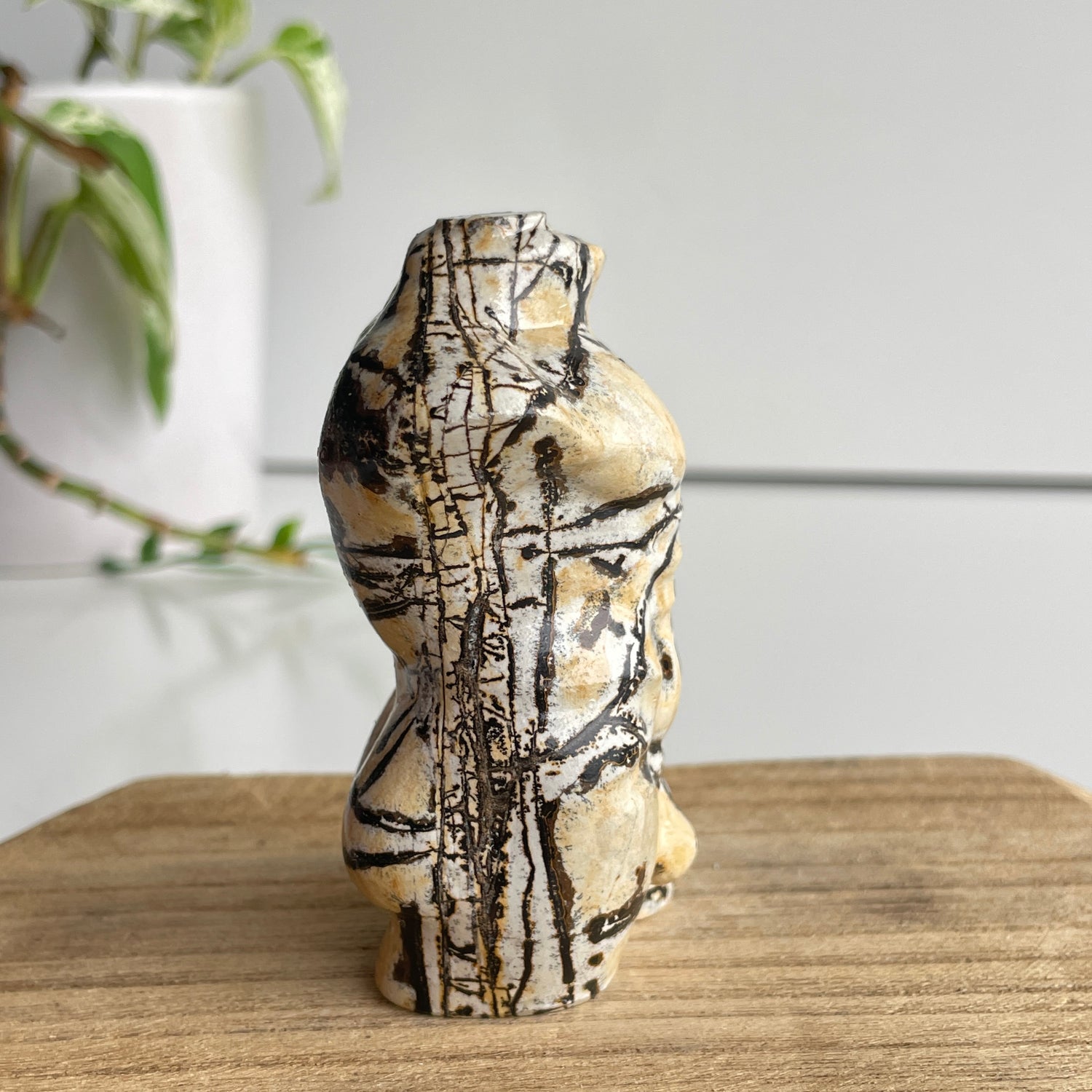 Picture Jasper Male Body 1