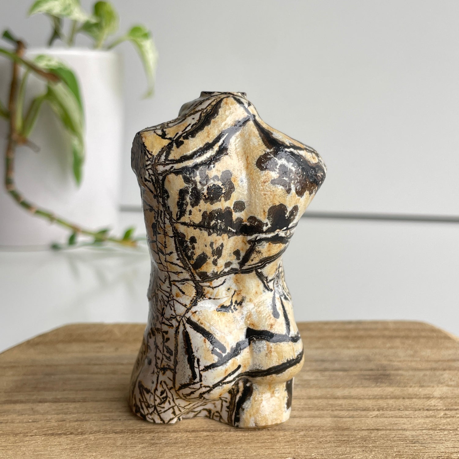 Picture Jasper Male Body 1
