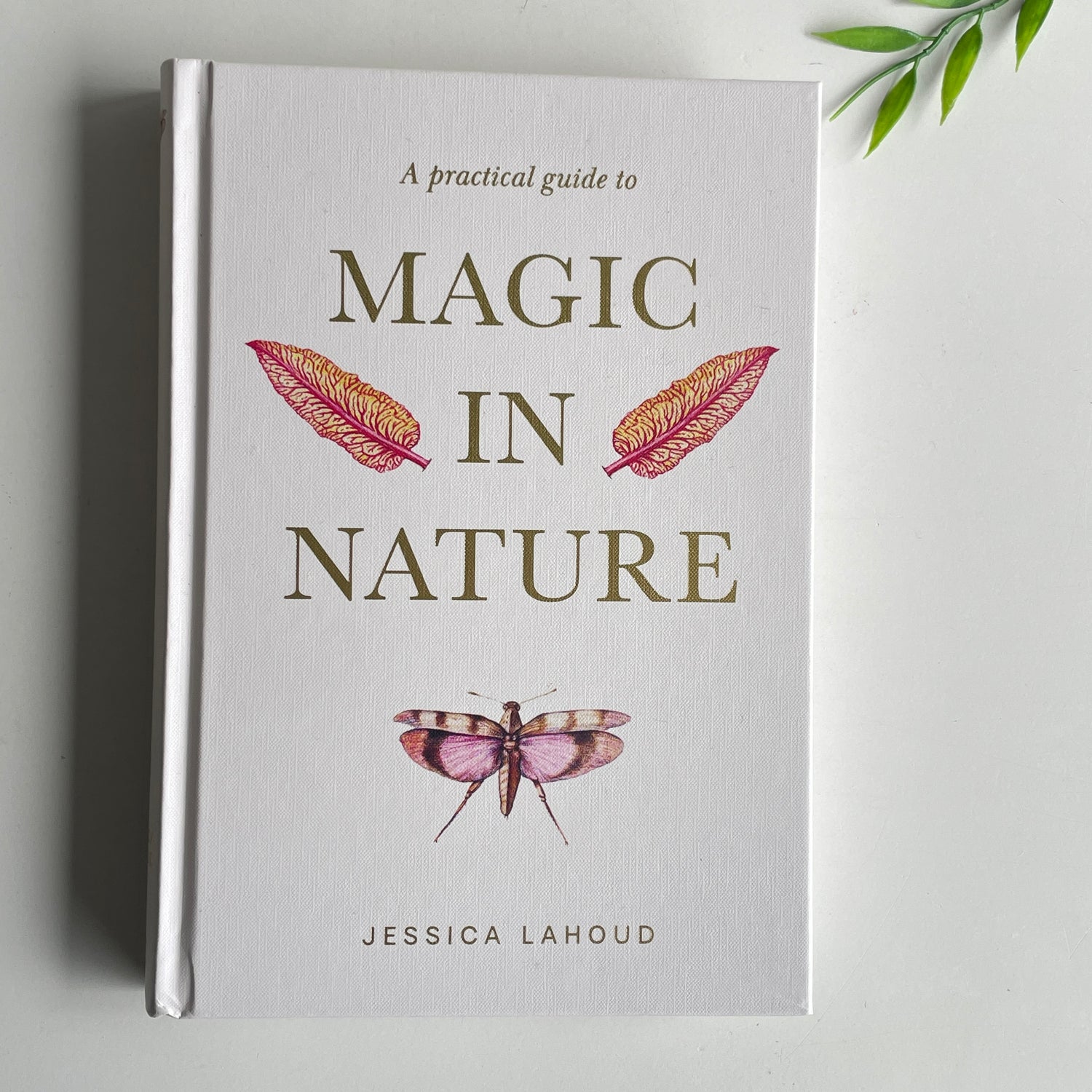 Magic In Nature Jessica Lahoud
