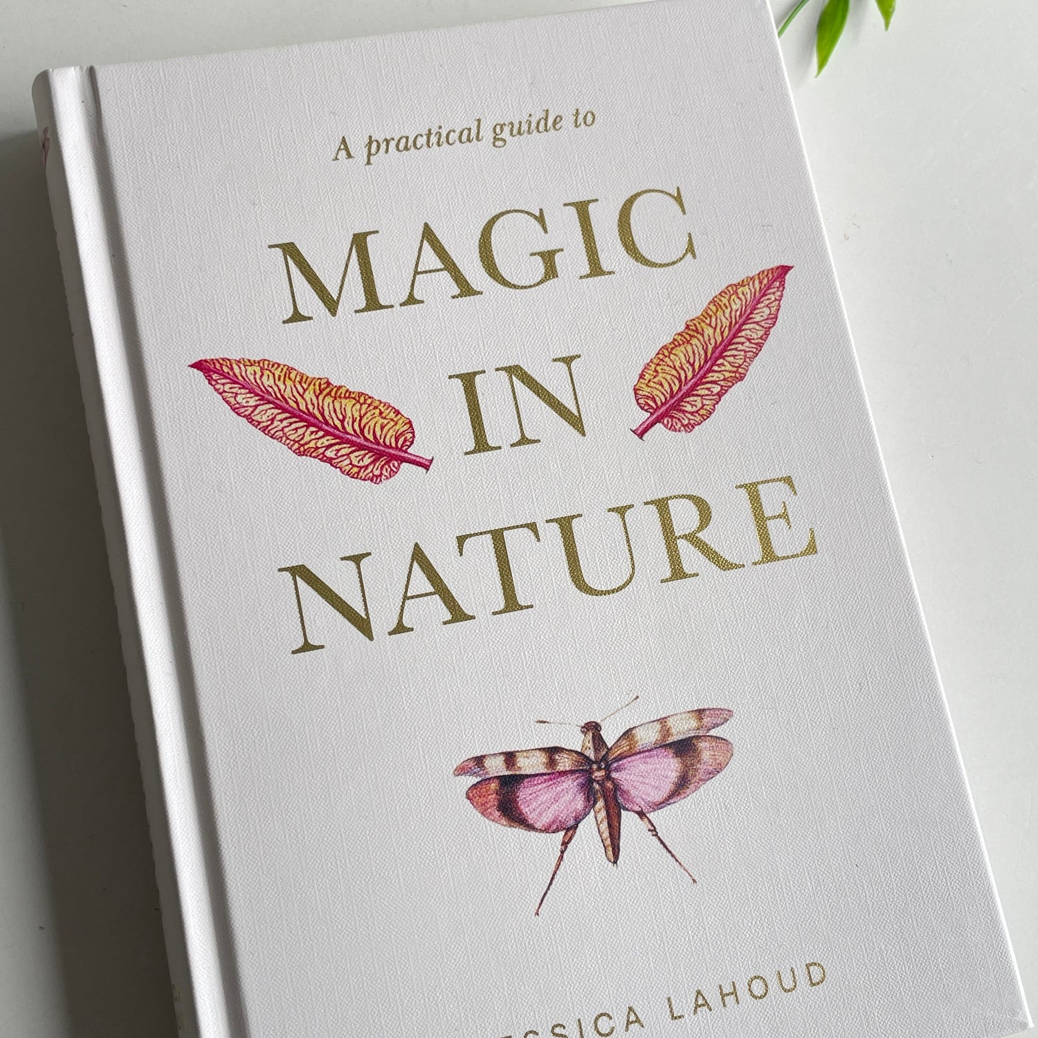 Magic In Nature Jessica Lahoud