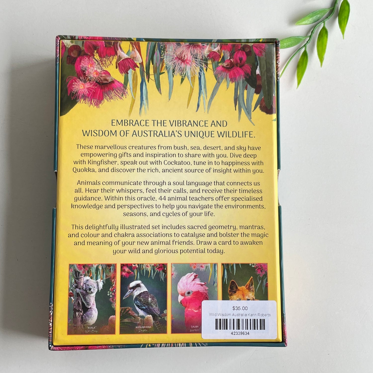 Wild Wisdom Australia Oracle CardsKarin Roberts