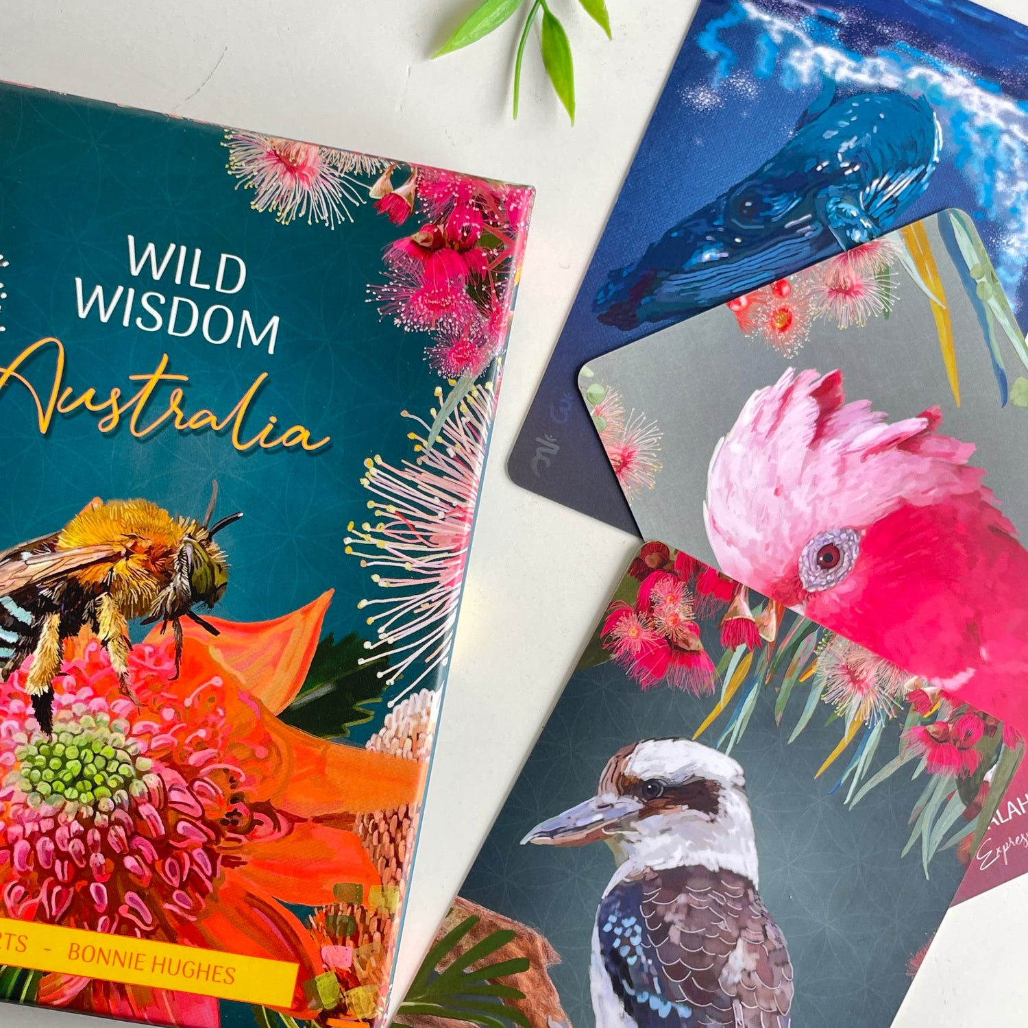 Wild Wisdom Australia Oracle CardsKarin Roberts