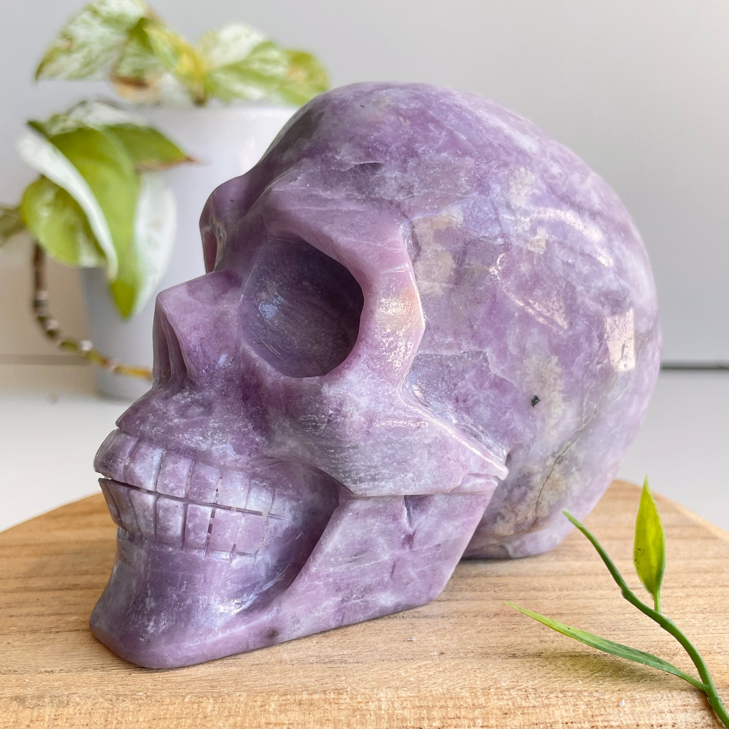 Lepidolite Skull 11.5cm