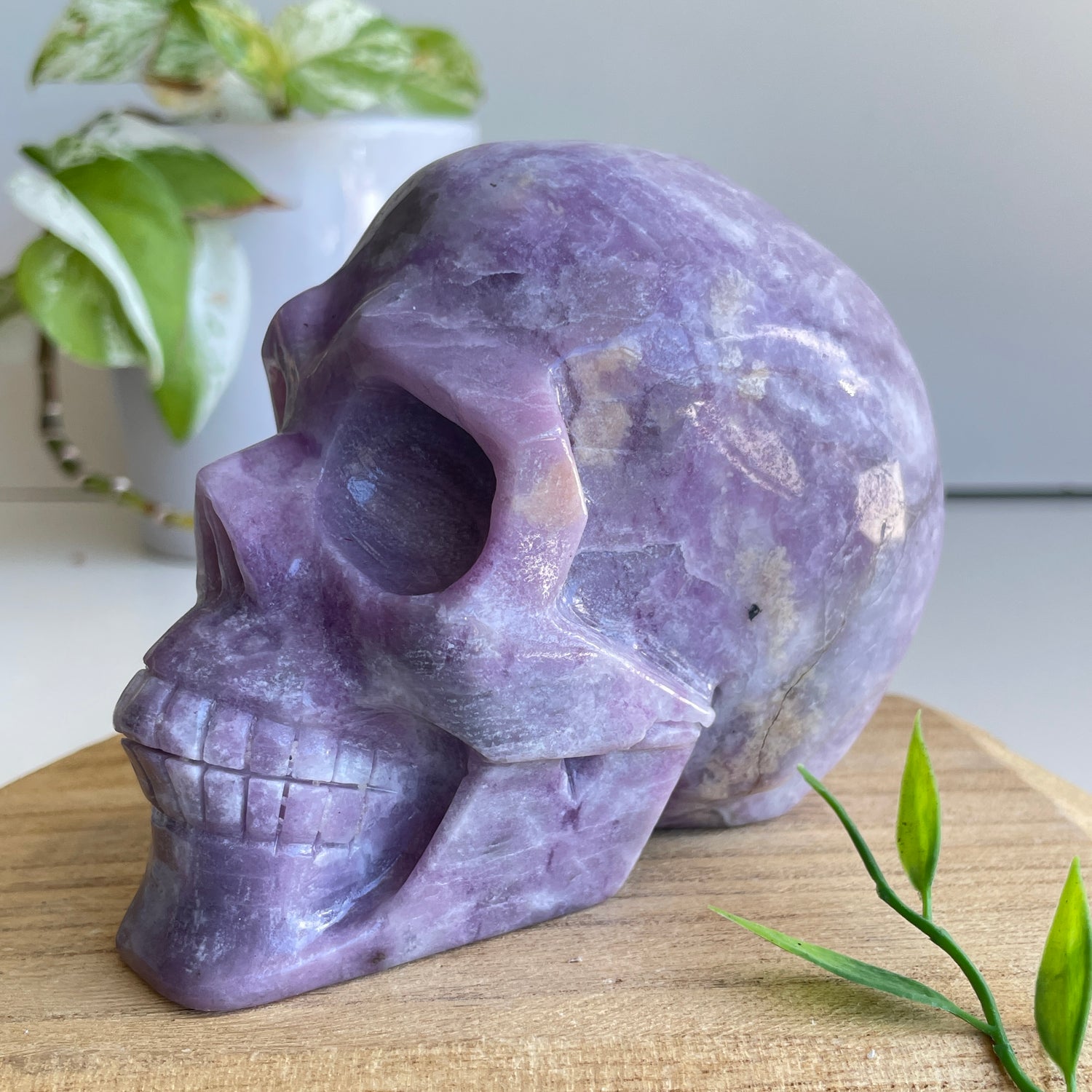 Lepidolite Skull 11.5cm