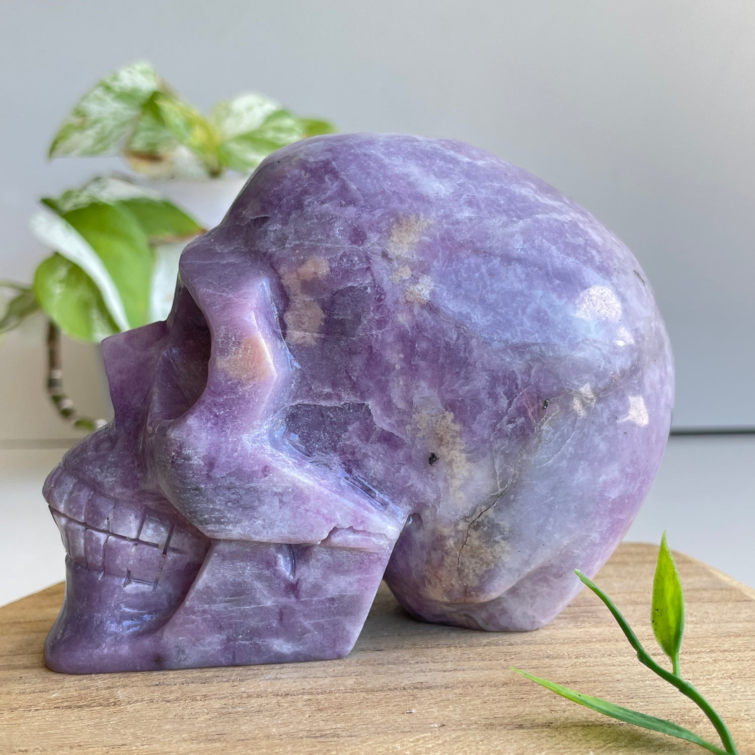 Lepidolite Skull 11.5cm