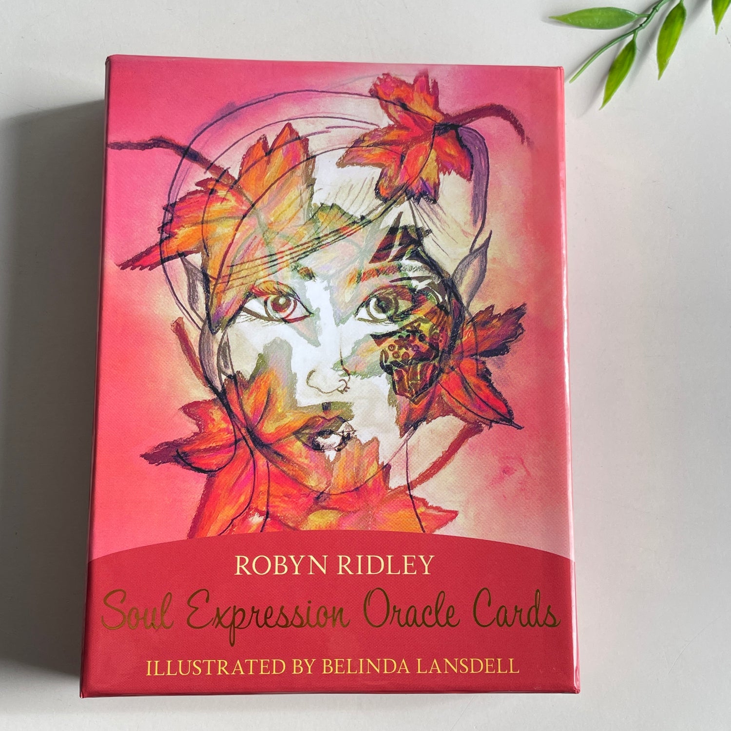 Soul Expression Oracle Cards Robyn Ridley
