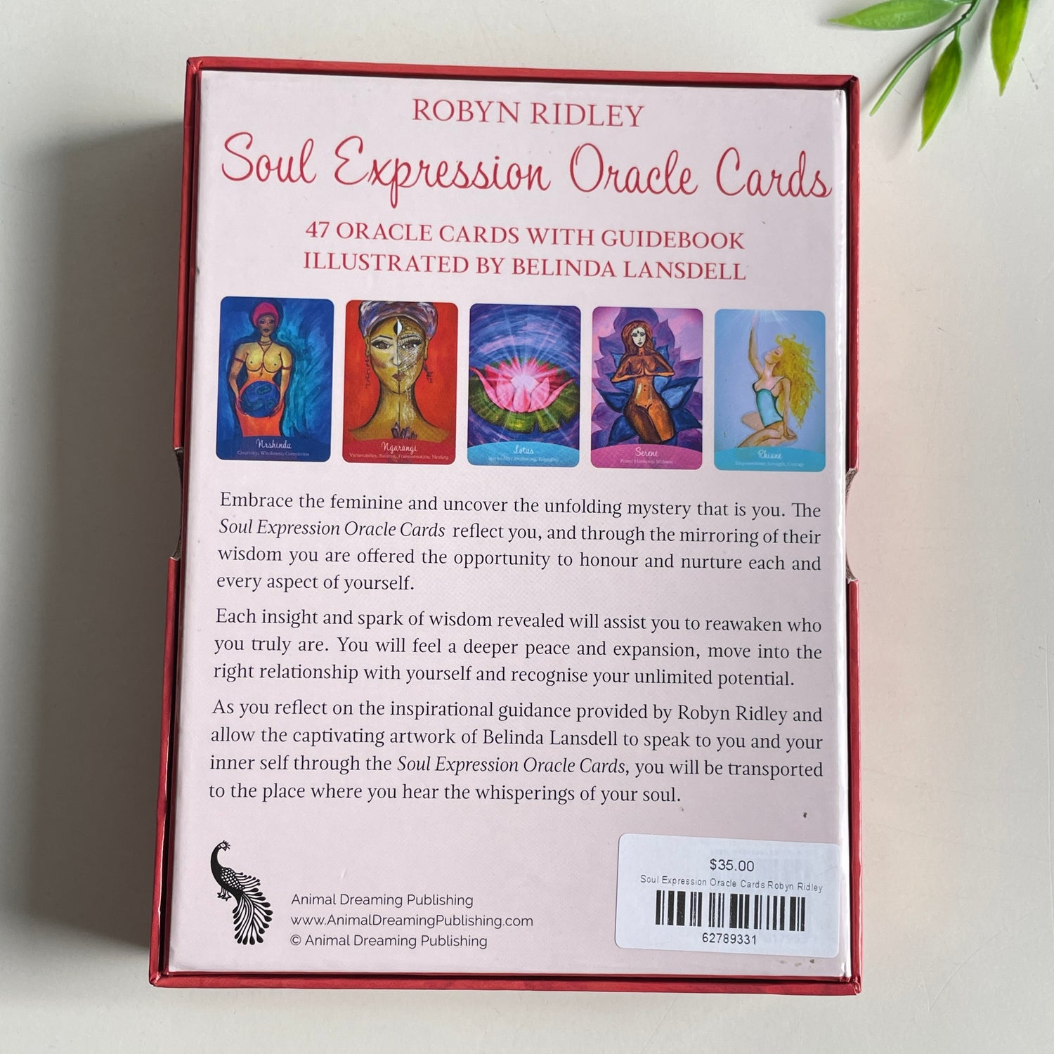 Soul Expression Oracle Cards Robyn Ridley