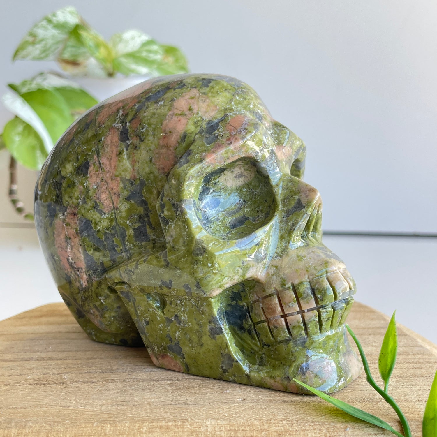 Unakite Skull 11.5cm