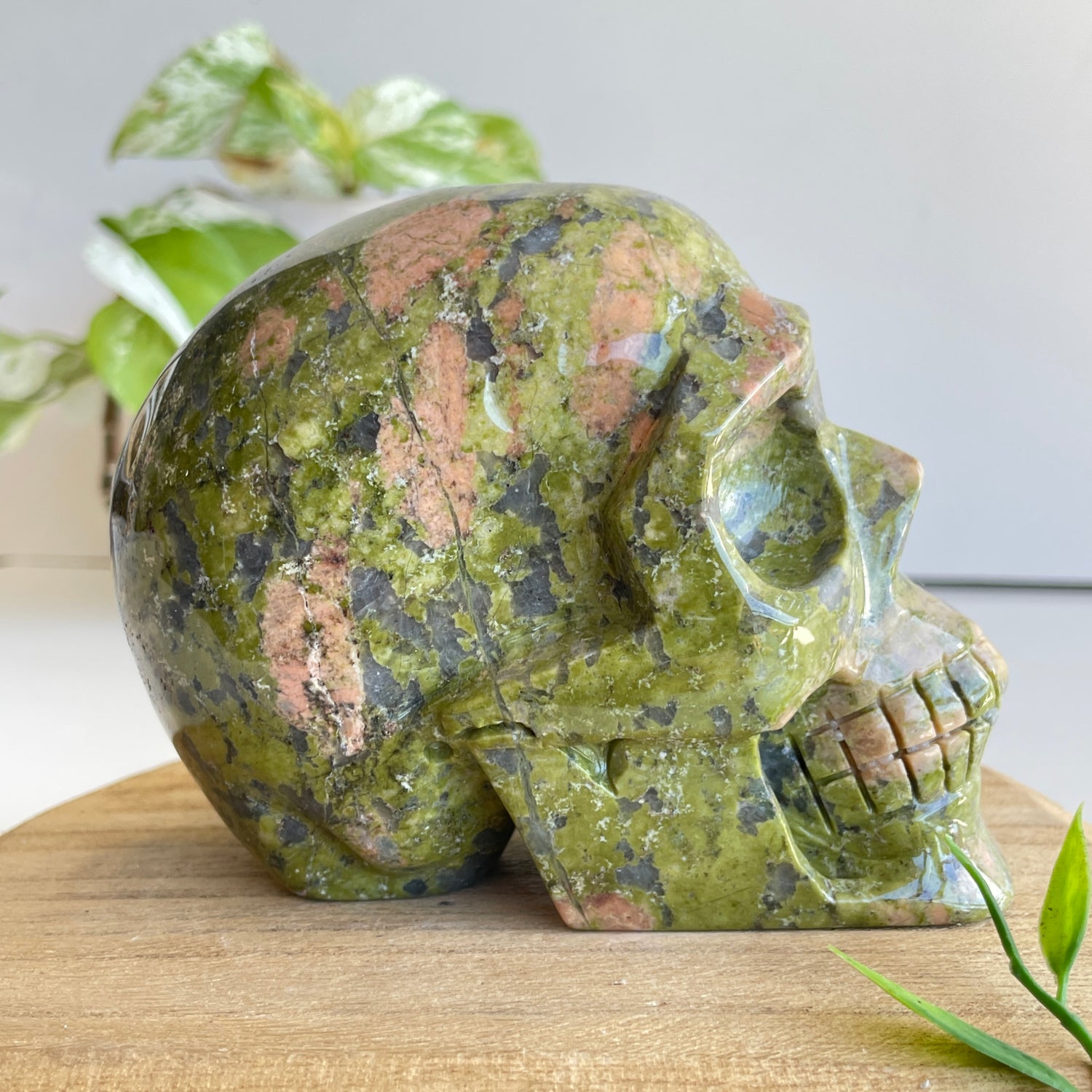 Unakite Skull 11.5cm