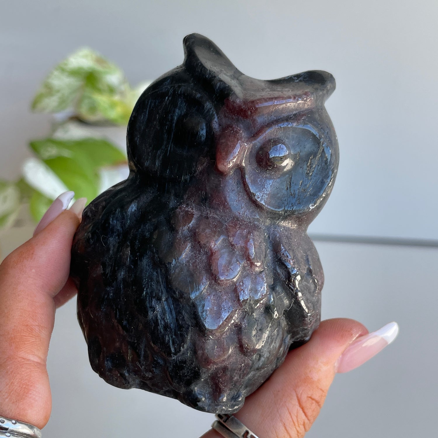 Garnet Owl