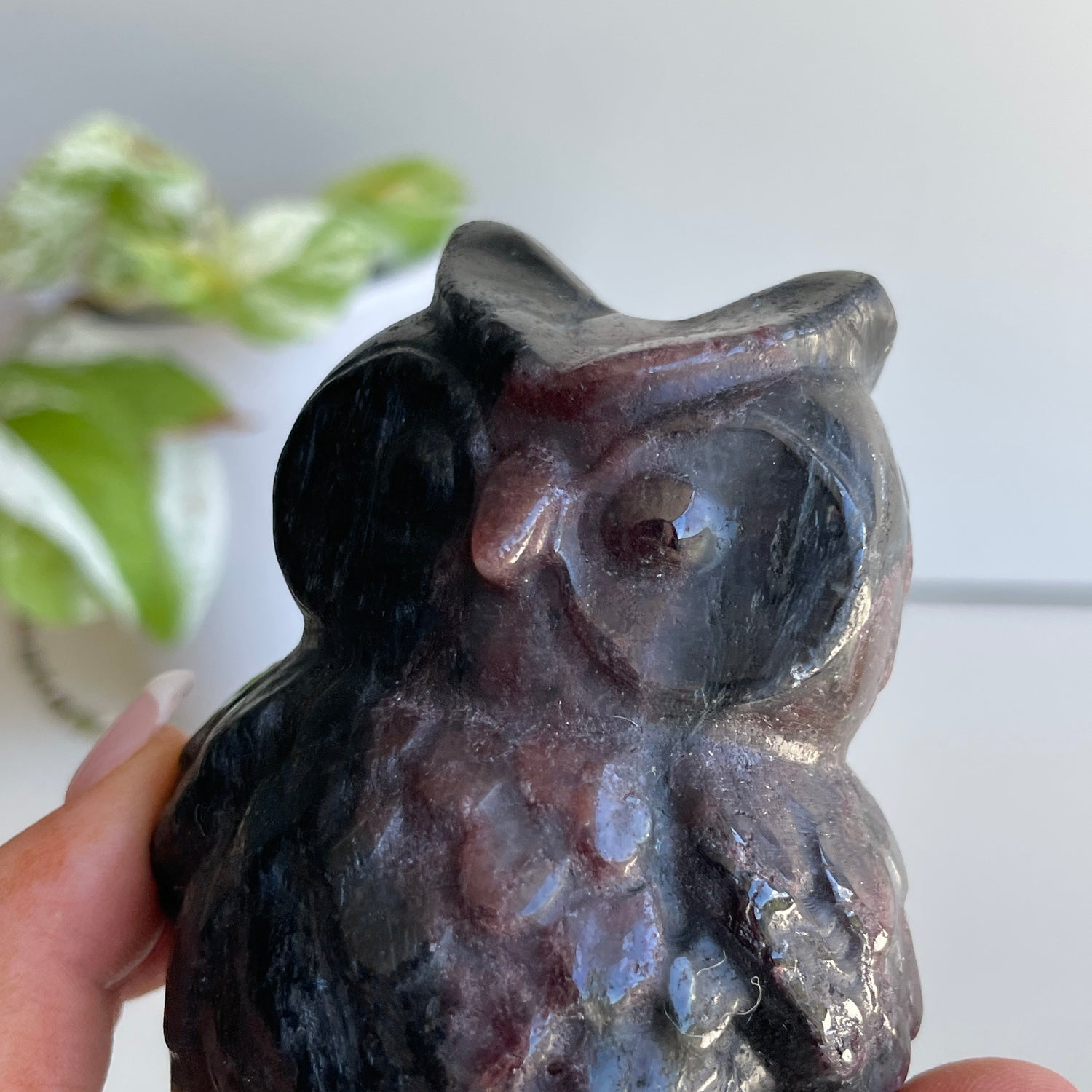 Garnet Owl