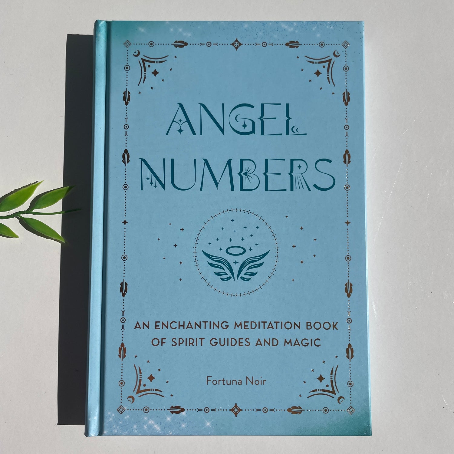 Angel Numbers Fortuna Noir