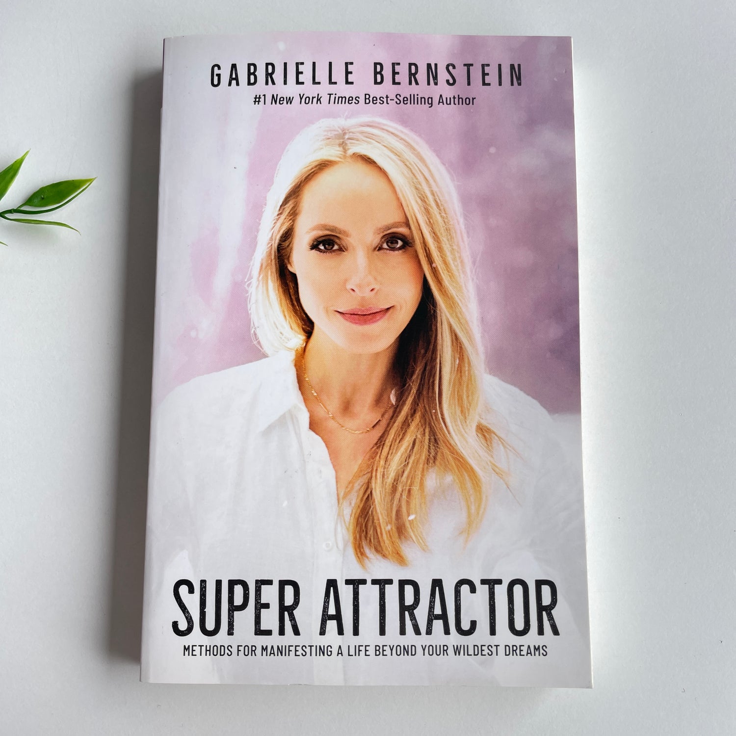 Super Attractor Gabrielle Bernstein