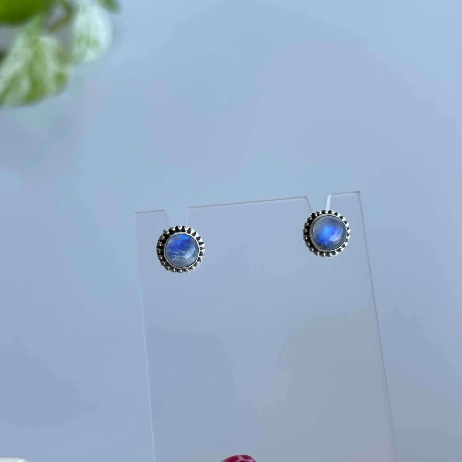 Moonstone Round Studs
