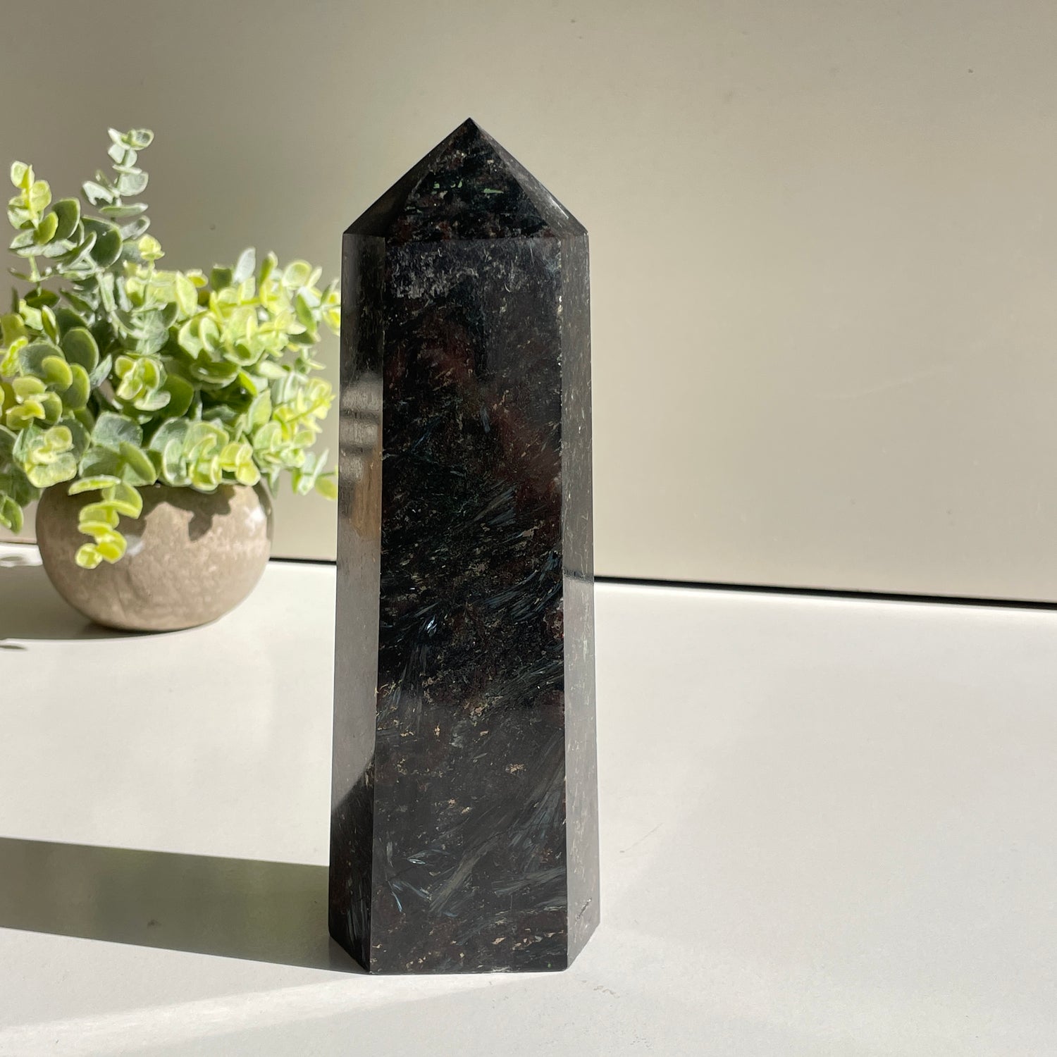 Garnet In Arfvedsonite Generator 19.2cm