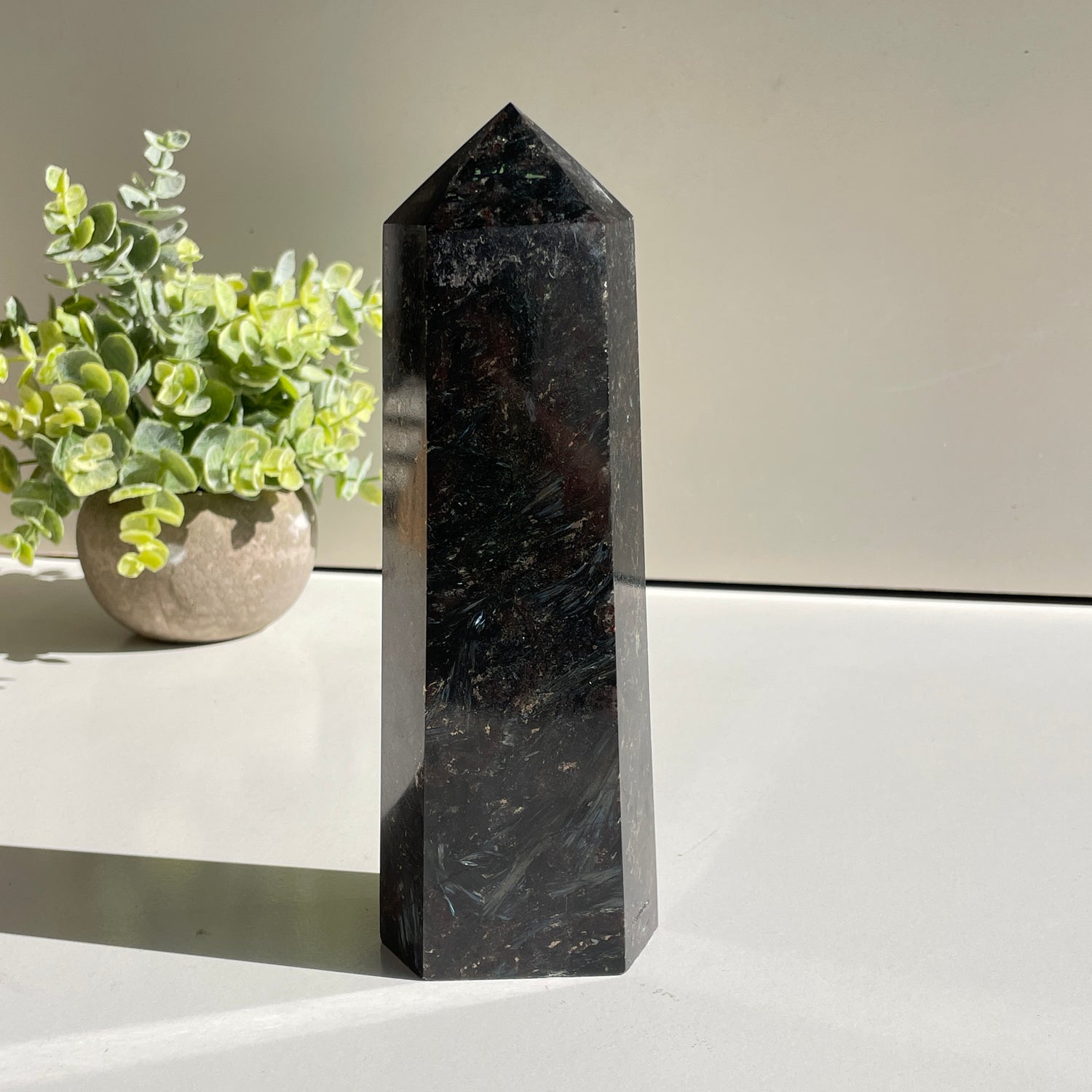 Garnet In Arfvedsonite Generator 19.2cm