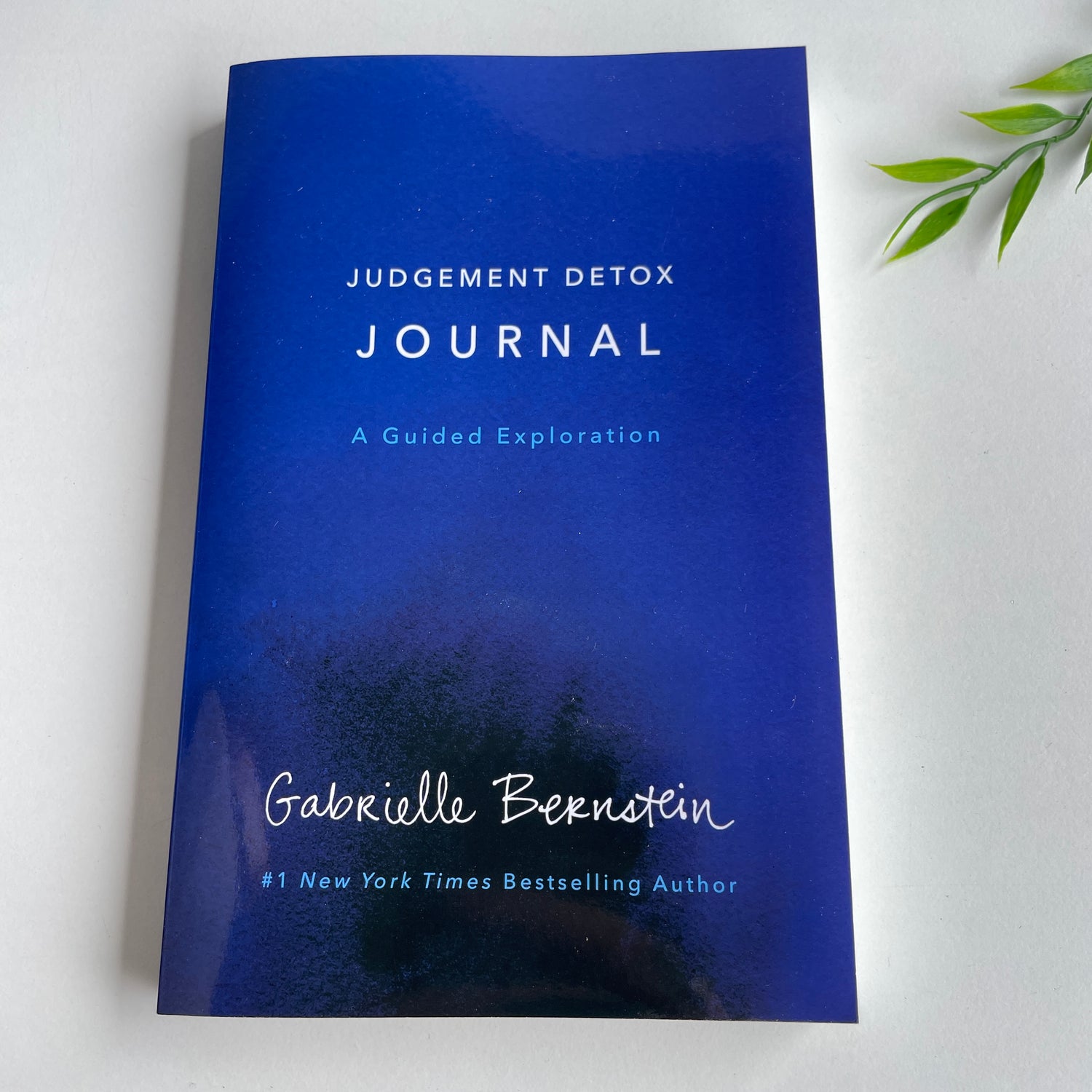 Judgement Detox Journal Gabrielle Bernstein