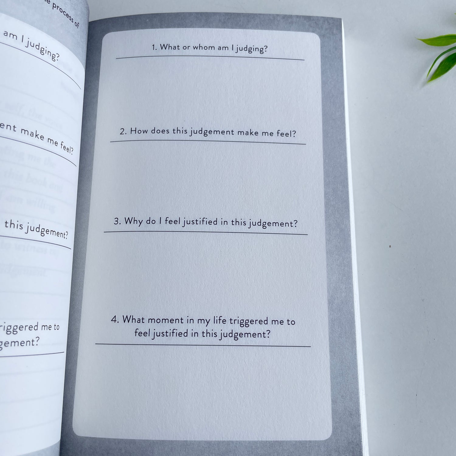 Judgement Detox Journal Gabrielle Bernstein