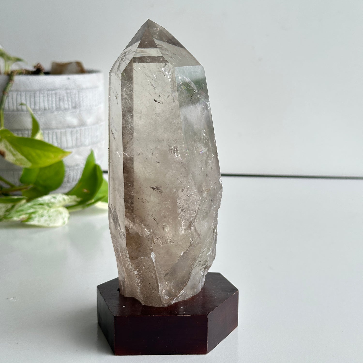Brazilian Smoky Lemurian In Stand 18cm