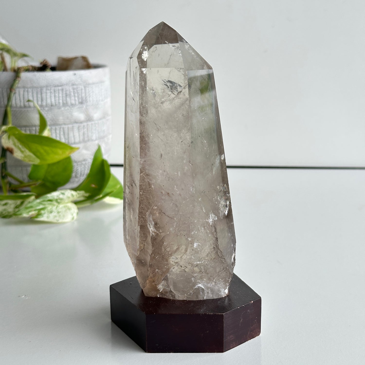 Brazilian Smoky Lemurian In Stand 18cm
