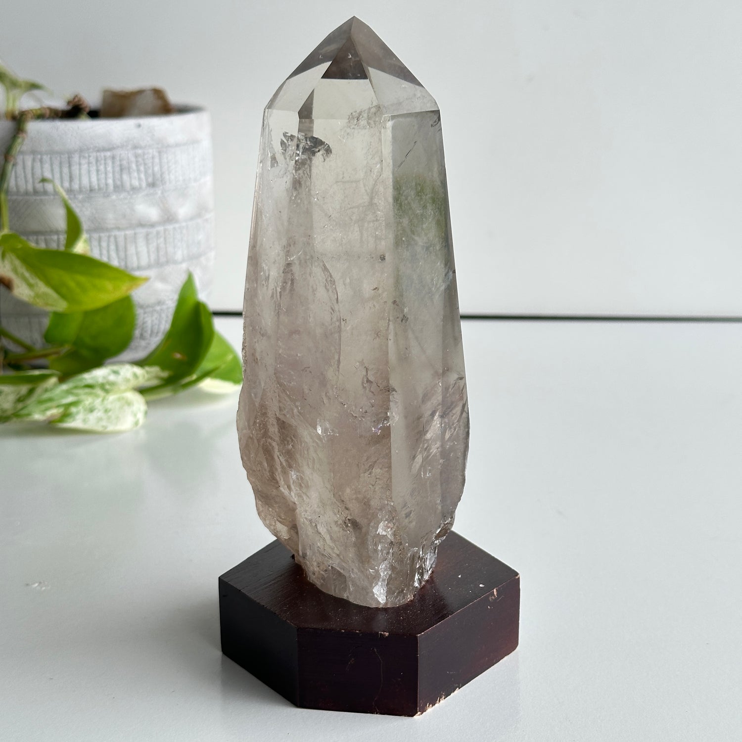 Brazilian Smoky Lemurian In Stand 18cm