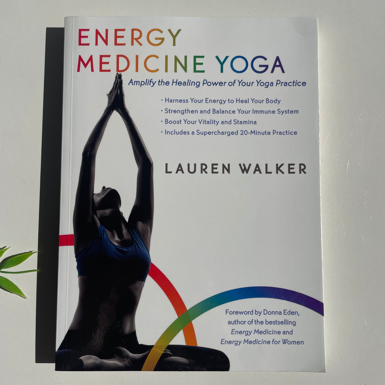Energy Medicine Yoga Lauren Walker