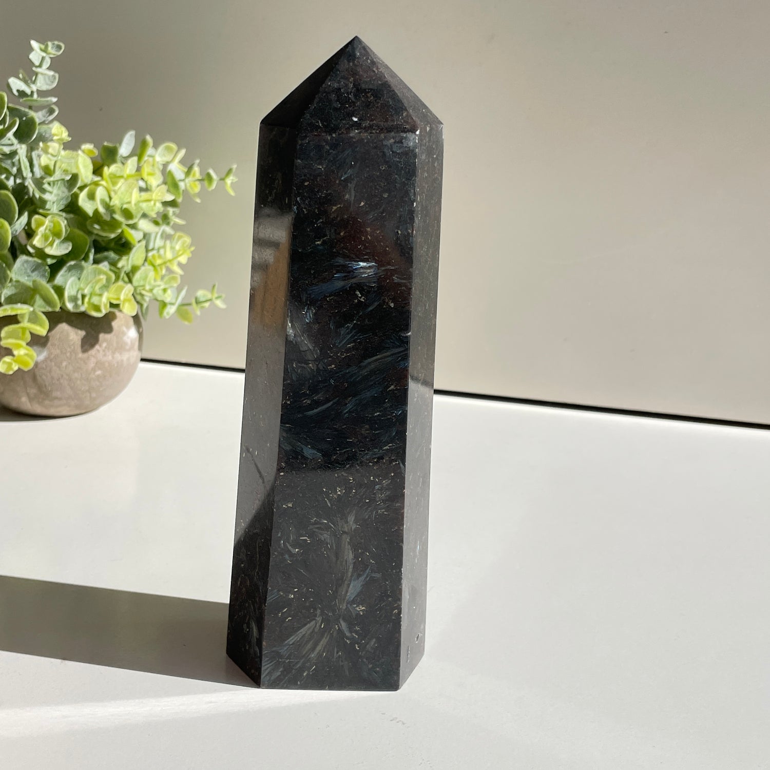 Garnet In Arfvedsonite Generator 20.5cm