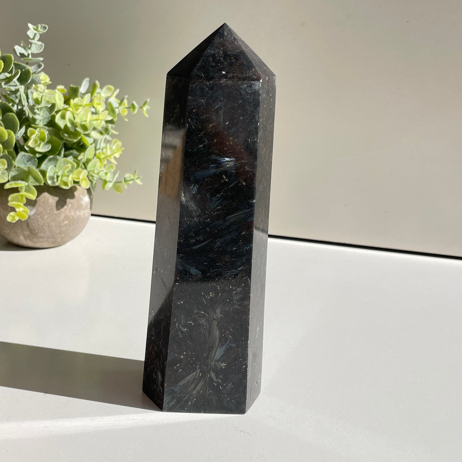Garnet In Arfvedsonite Generator 20.5cm